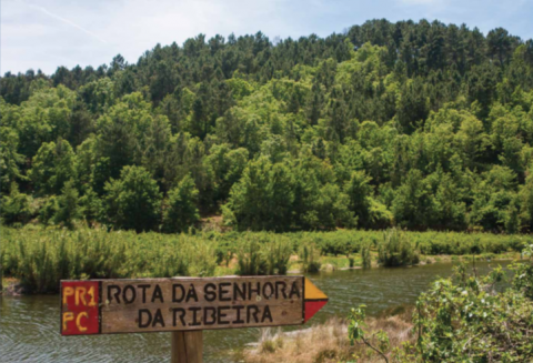 Rota da Senhora da Ribeira