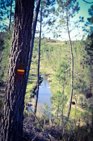 Rota Ribeira da Magueija – Sarzedas