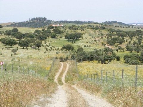 Os Segredos de Ferreira