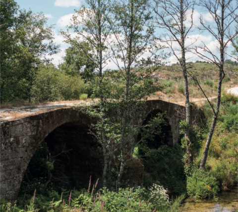 Percurso Caldas da Cavaca
