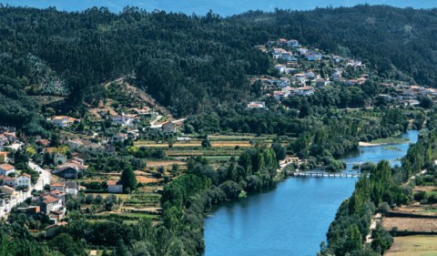 Grande Rota do Bussaco