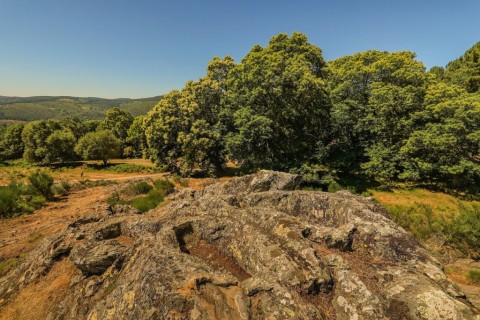 Rota da Cabeça Alta