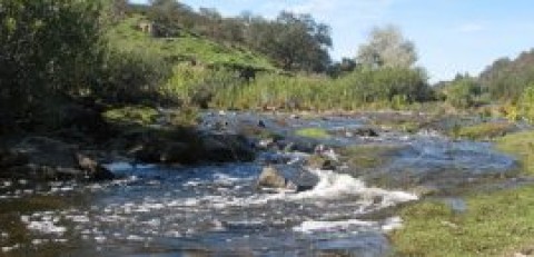 Ao ritmo das águas do Vascão