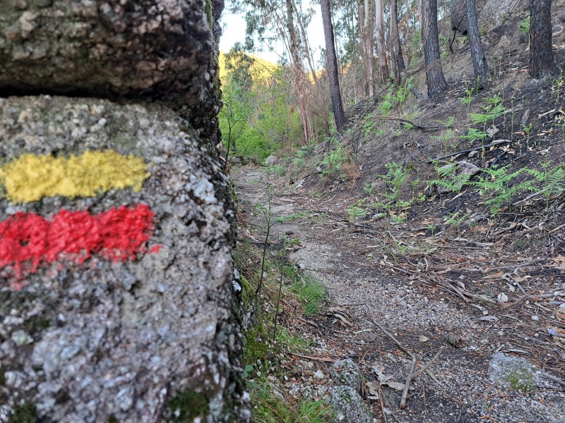 Les plus belles montagnes du nord du Portugal : un guide pour les amoureux de la nature
