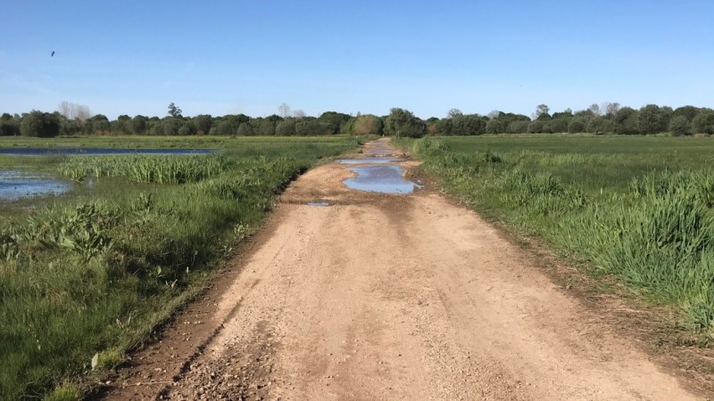 Grande Rota da Ria de Aveiro - Percurso Verde - Opinião